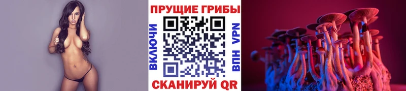 Псилоцибиновые грибы мухоморы  darknet Telegram  Нюрба 
